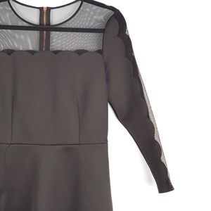 Ted Baker | KIKOH Mesh Panelled Skater Dress